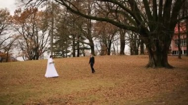 Düğün Gelin ve damat öpüşme ve parkta yürüyüş.