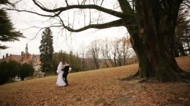 Eski antika castle park yakınındaki ellerinde sallanan gelin damat