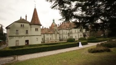 Düğün damat ve gelin antika castle Park yakınındaki yolu yürüyüş