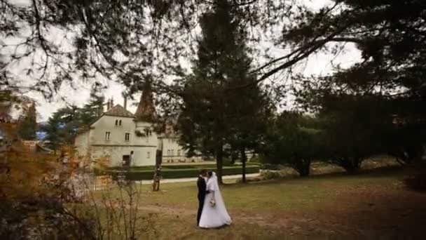 결혼식 신부 및 신랑 공원에서 산책 하 고 오래 된 성 근처 키스 — 비디오