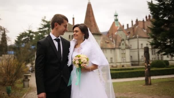 Vackra bruden och brudgummen promenader i parken nära gamla antika slott — Stockvideo