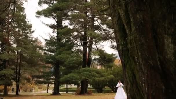 Свадебная невеста и жених прогуливаются по парку и целуются возле старого замка — стоковое видео