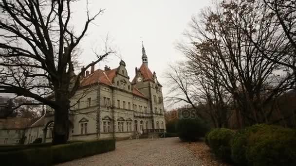 Vista del antiguo castillo antiguo en el parque en Ucrania — Vídeos de Stock