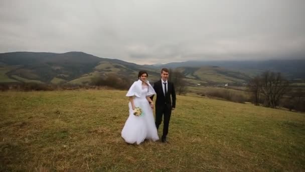 Novia y novio caminando por las montañas tomados de la mano. hermosa naturaleza . — Vídeo de stock