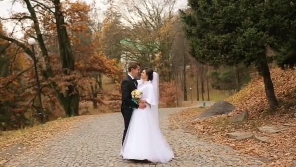 Gelin ve damat Park, sonbahar park altın yaprağı ile yürüyüş — Stok video