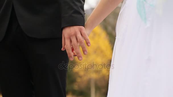 新娘和新郎手牵着手在公园里散步的时候. — 图库视频影像