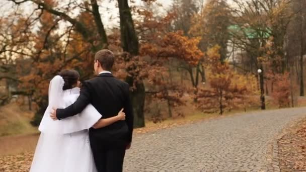 Novia y novio caminando por el camino de piedra. Parque de otoño con hojas doradas — Vídeo de stock