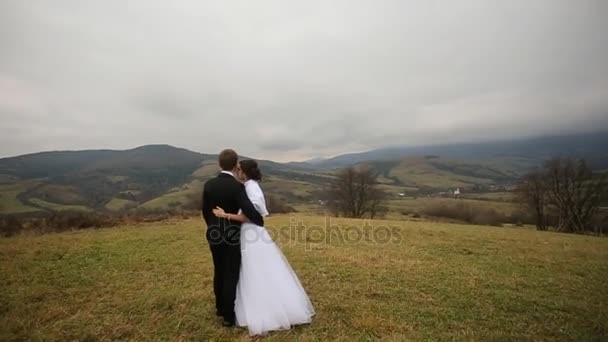Bride and groom on mountains backgroung kissing. beautiful nature. — Stock Video