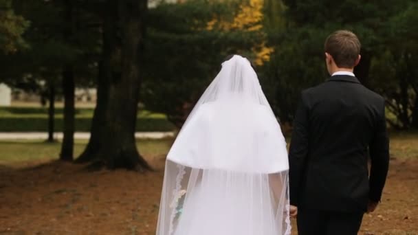 Indietro colpo di giovane sposa e sposo a piedi lungo il percorso al parco autunnale . — Video Stock