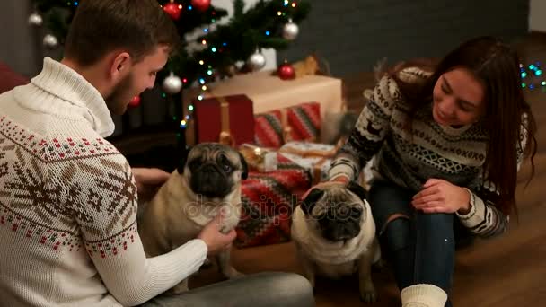 Gelukkige jonge paar glimlachend en plezier maken met paar pug hond in de buurt van de kerstboom. Slow motion. — Stockvideo