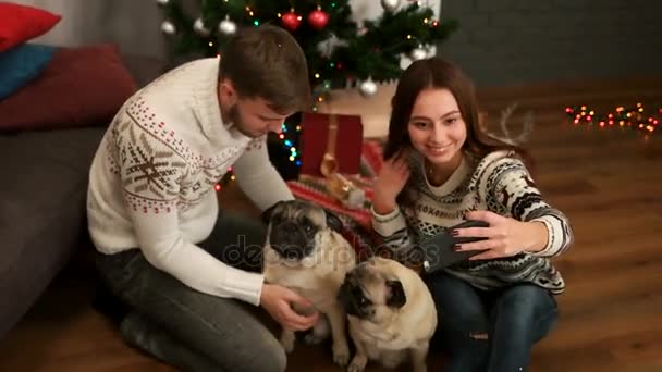 Attraktiva unga par i kärlek leende och göra selfie med par mops hunden på golvet nära julgranen. Ovanifrån. — Stockvideo
