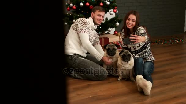 Vackra unga par i kärlek leende och göra selfie med par mops hunden på golvet nära julgranen. Visa behined på väggen. — Stockvideo