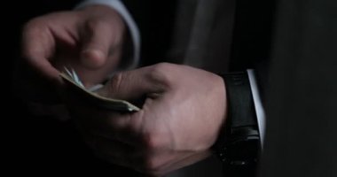 Erkek muhasebeci ya da Amerikan faturaları sayma bankacı close-up. Tasarruf, finans ve ekonomi kavramı
