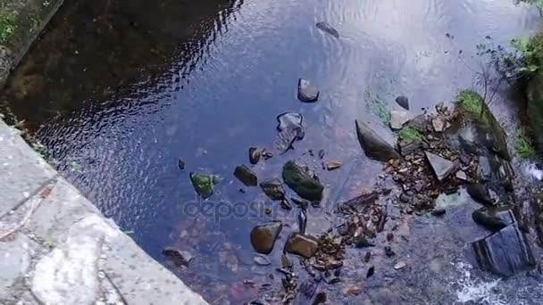 Повільного польоту над річкою і 16 міст Taramundi — стокове відео