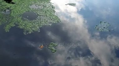 Kanal, şelale ve Taramundi fabrikalarında 13 Nehri boyunca yavaş yürüyüş