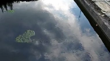 Bir kanal, şelale ve Taramundi fabrikalarında 15 nehir boyunca yavaş yürüyüş