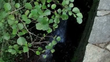 Nehir ve Taramundi Köprüsü 17 üzerinde yavaş uçuş