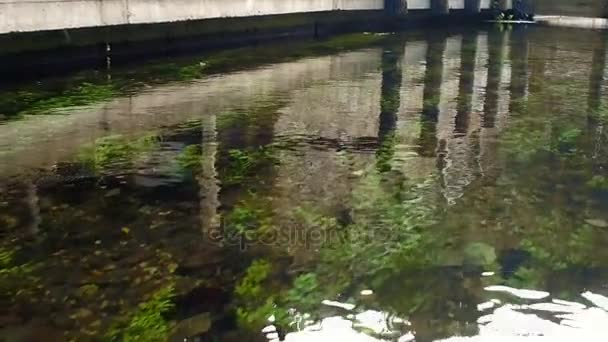 Langsam fließender Taramundi-Wasserkanal 23 — Stockvideo