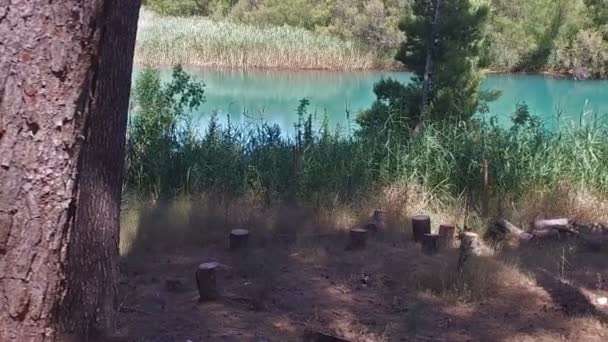 Yavaş orman Caminito del Rey 03 nehir kenarında yürüyüş — Stok video