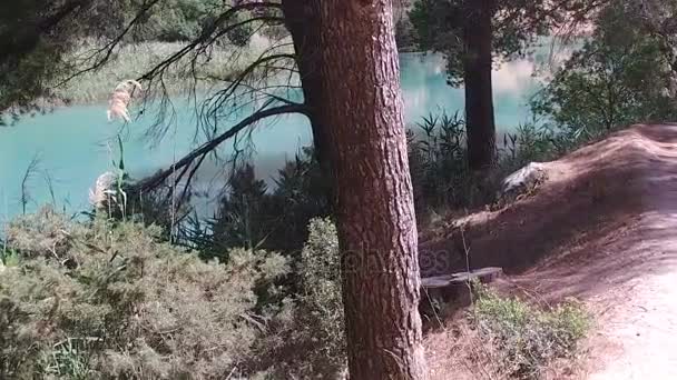 Ormanın içinden, Caminito del Rey 04 nehrin yavaş ilerleyen — Stok video
