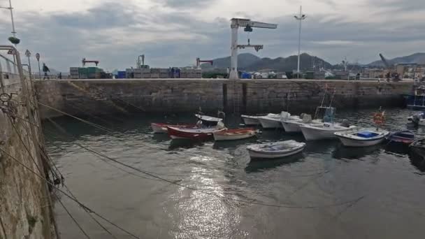 Amarrações de barco no porto de pesca Castro Urdiales 39 — Vídeo de Stock