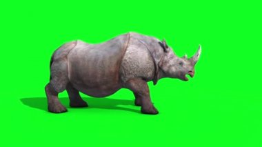 Gergedan ölür yeşil ekran 3d render animasyon hayvanlar yan