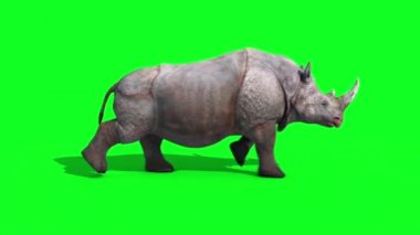 Gergedan Runcycle yan yeşil ekran döngü 3d render animasyon hayvanlar