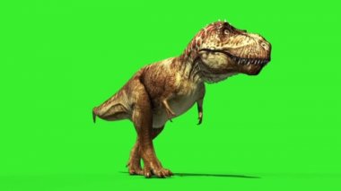 T-Rex Tyrannosaur'u tüylü koşmak aşağı döngü Jurassic dünya dinozorlar yeşil ekran