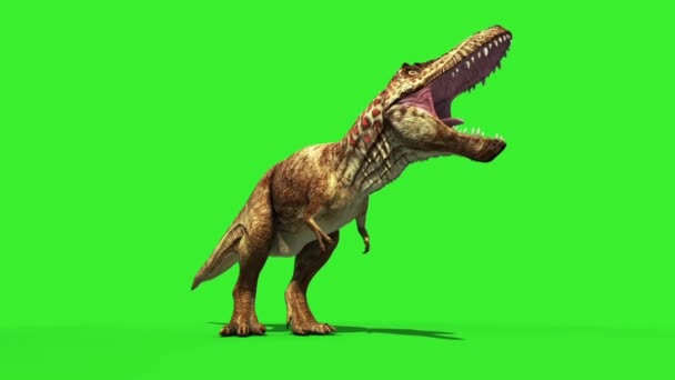 Rex Tyrannosaur Feathered Roar Loop Jurassic World Dinosaurios Pantalla Verde — Vídeo de stock