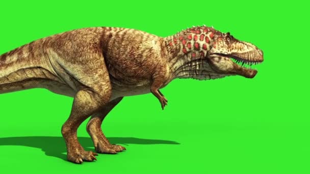 Rex Tyrannosaur Gevederde Roar Close Lus Jurassic World Dinosaurussen Green — Stockvideo