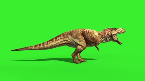 Trex Dinosaurs - 3D Animation - PixelBoom