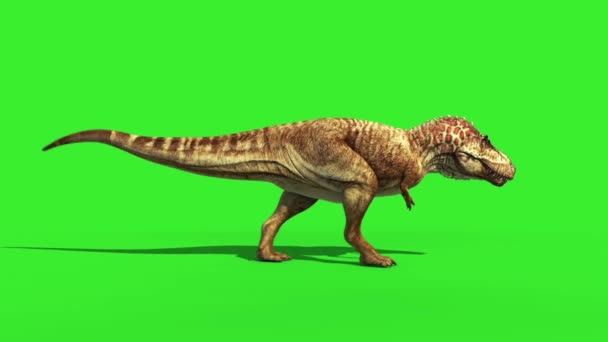 Rex Tyrannosaur Gevederde Uitvoeren Side Lus Jurassic World Dinosaurussen Groen — Stockvideo