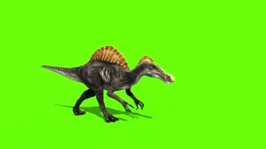 Spinosaurus yürüyüşler dinozorlar yeşil Sceen 3d render animasyon