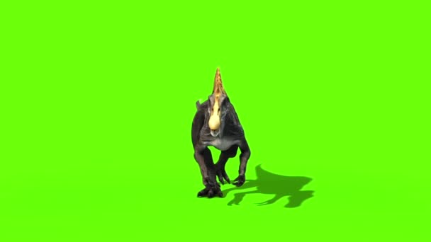 Спинозавры Walkcycle Dinosaurs Front Green Sceen Rendering Animation — стоковое видео