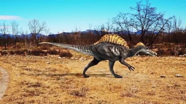 Spinosaurus Dinosaurussen Jurassic Geanimeerde Achtergrond Rendering Animatie — Stockvideo