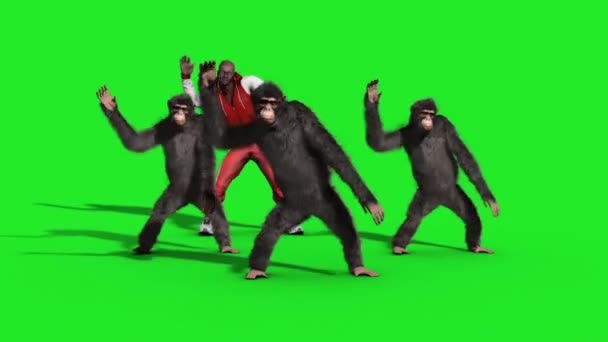 105 Monkey Dancing Videos Royalty Free Stock Monkey Dancing Footage Depositphotos