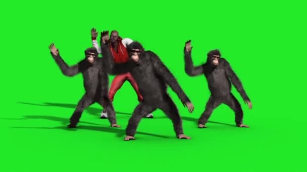 Grupo Chimpancé Hombre Casa Bailarina Danza Pantalla Verde Representación Animación — Vídeo de stock