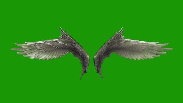 Flapping Silver Wings loop 3D Renderings Animations