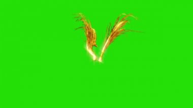 Altın tüylü çırparak kanatlar yeşil ekran 3d animasyon oluşturma