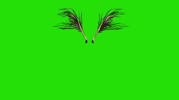 ブラウンを羽ばたき翼前面緑画面 レンダリング アニメーションの羽 — ストック動画