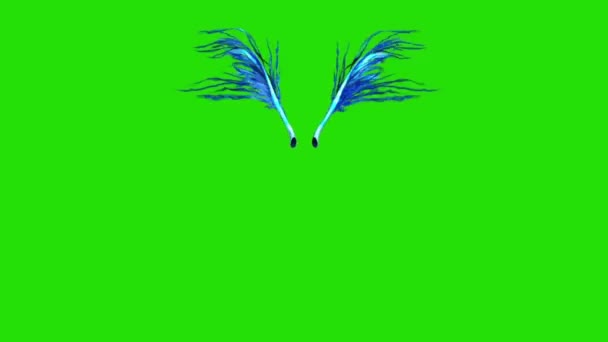 Flapping Blue Feathered Front Green Screen Rendering Animation — стоковое видео