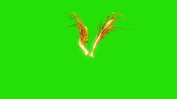 Flapping Oro Ali Piumate Schermo Verde Rendering Animazione — Video Stock