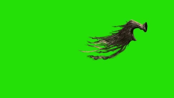 Flapping Brown Feathered Wings Side Green Screen Rendering Animation — Stock Video