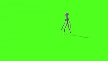 Gri uzaylı istilası Ufo yeşil ekran 3d render animasyonlar