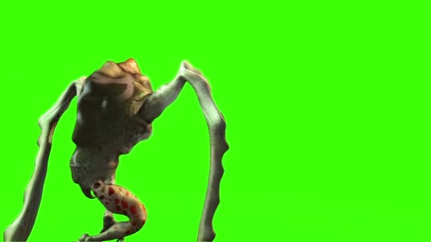 Monstruo Alien Pierna Larga Camina Hacia Atrás Animación Pantalla Verde — Vídeos de Stock