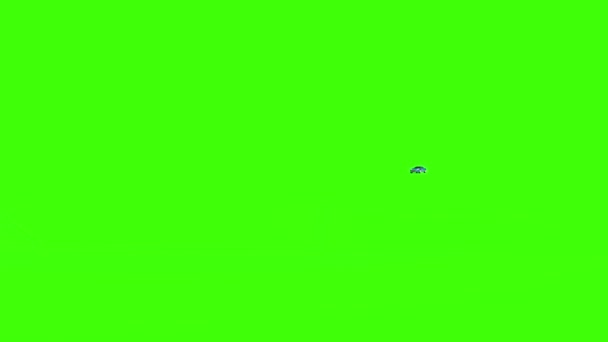 Auto Springt Flips Front Green Screen Rendering Animation — Stockvideo