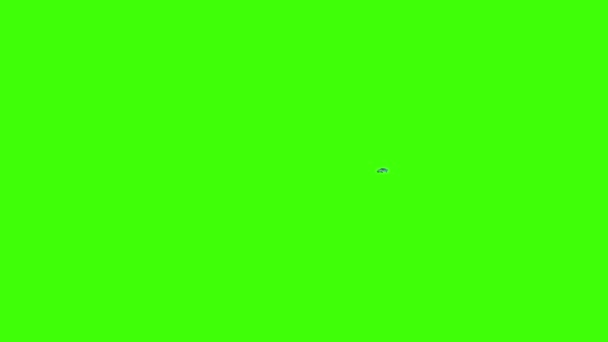 Auto Springt Flips Green Screen Rendering Animation — Stockvideo