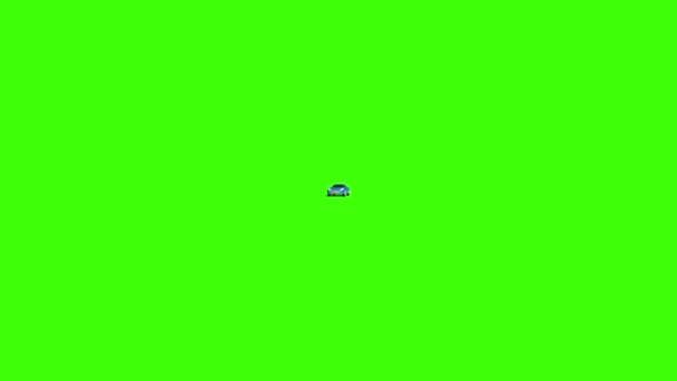 Samochód Skacze Koziołki Markery Zielony Ekran Renderowania Animacji — Wideo stockowe