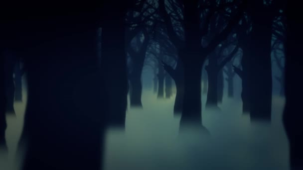 Sötét erdő köd fák animált háttér tapéta