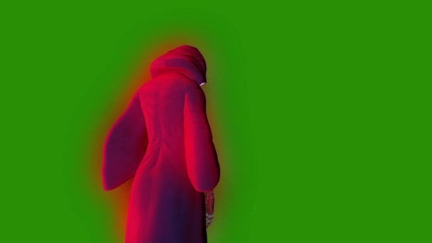 幽灵幽灵实体女巫攻击背面绿色屏幕3D 渲染动画 — 图库视频影像
